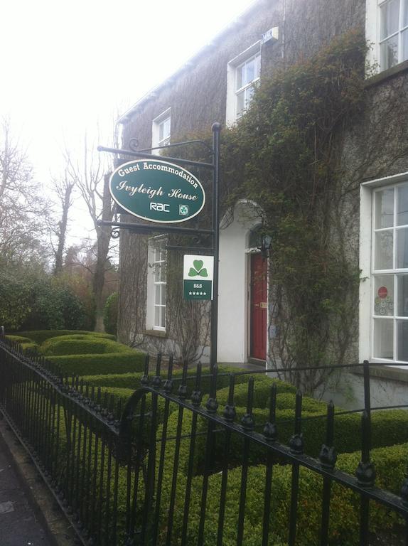 Bed and Breakfast Ivyleigh House Laois Exterior foto